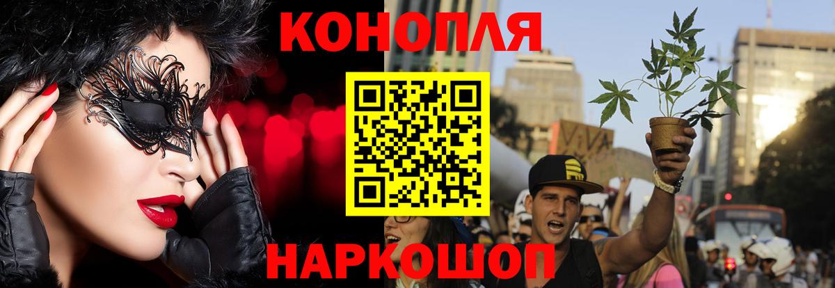 Бошки марихуана индика  Канабис марихуана  Новокубанск  Вход с VPN  Марихуана планчик 